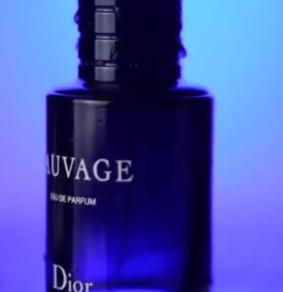 Sauvage erkaklar uchun parfyumlangan suvi, hajmi 100 ml

 Sauvage-bu e — 2