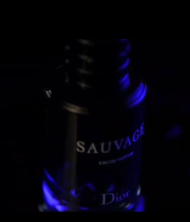 Sauvage erkaklar uchun parfyumlangan suvi, hajmi 100 ml

 Sauvage-bu e — 3