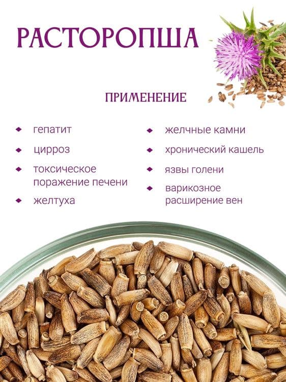Расторопша семена. Россия! Алтайские! С первых рук.  Отжимает масло — 4