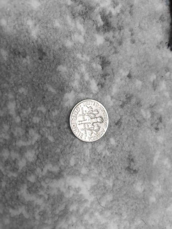 Amerikaning ONE DIME — 1