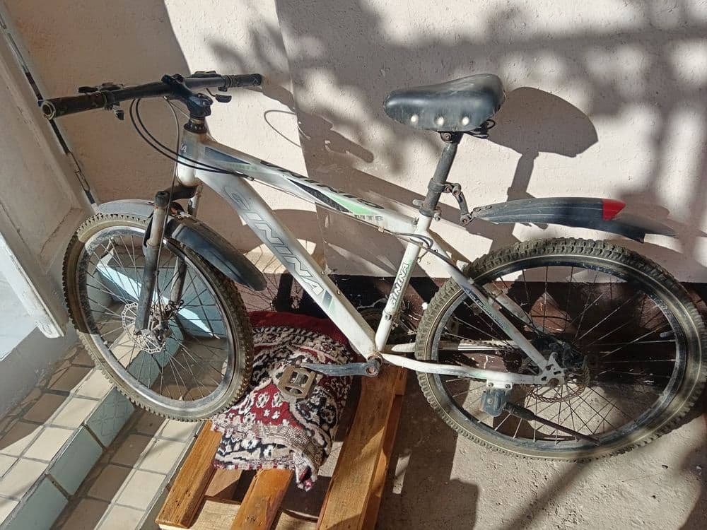 Velosiped 24 talik — 2