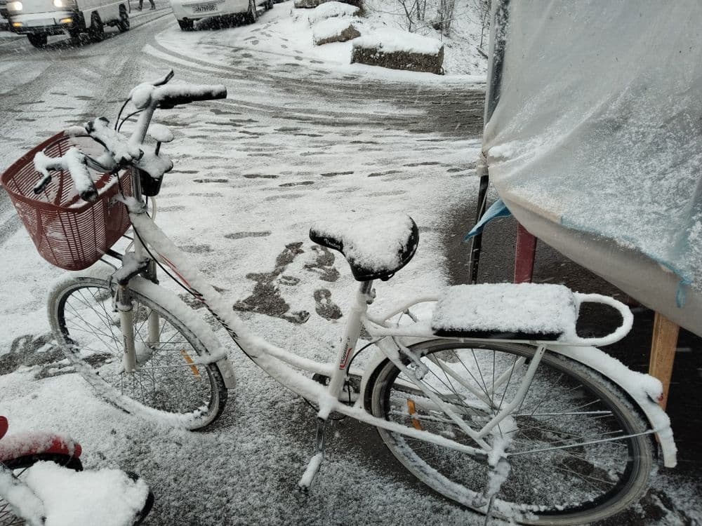 Velosapet sotladi 150$ kami bor — 1