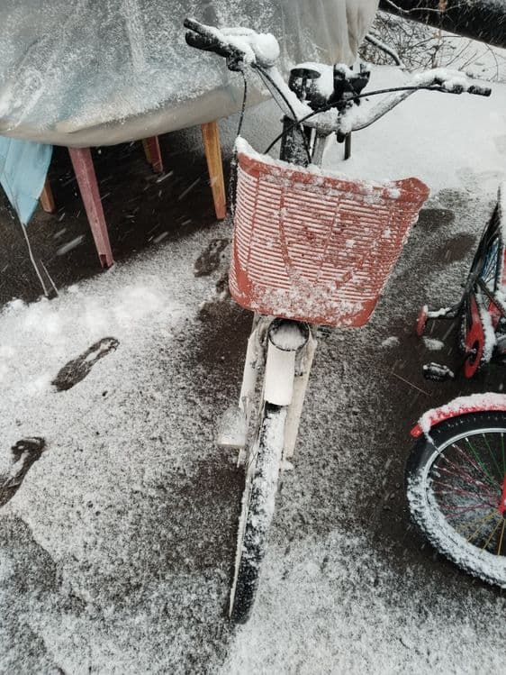 Velosapet sotladi 150$ kami bor — 3