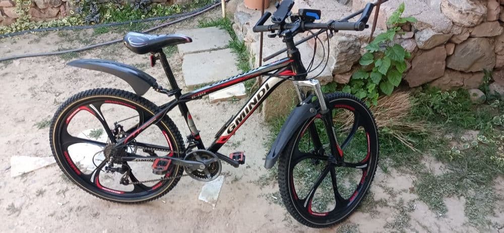Velosiped saka diska — 2