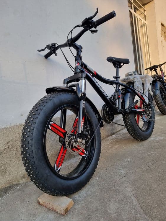 Velik 20 sakadiska — 3