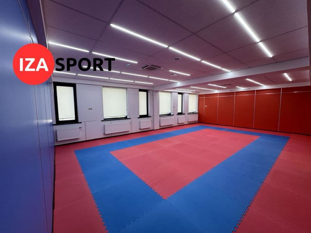 Sport zallari uchun Kurash gilam, Kavyor, Tatami, Sport mat, Dayan — 4