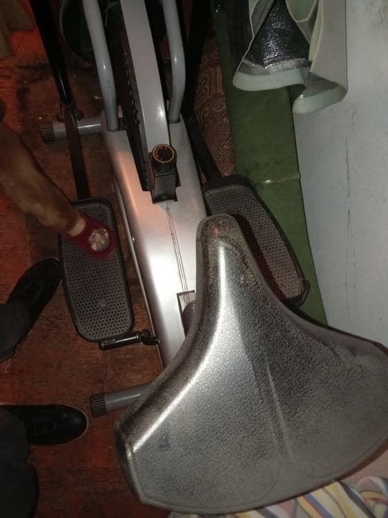 Trinajor bor sotiladi holati yaxshi vapwe iwlatilmagan 4 ta ganteliyam — 3
