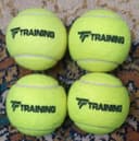 Теннисные мячи Tecnifibre Training