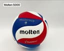 Волейбольный мяч Molten