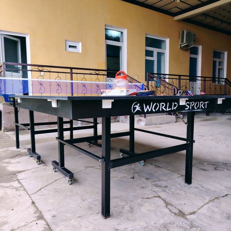 Stol tennis | Ping-Pong | Настольный теннис — 6