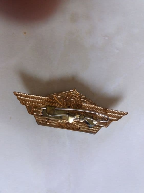 знак парашютист-2,и другие знаки! — 5