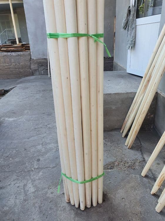 Sop dasta tol ketmon lapatka — 1