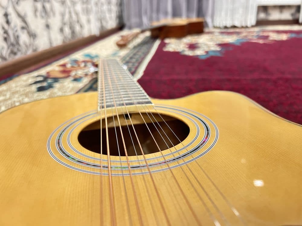 Gitara 12 ta simli — 1