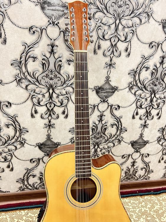 Gitara 12 ta simli — 2