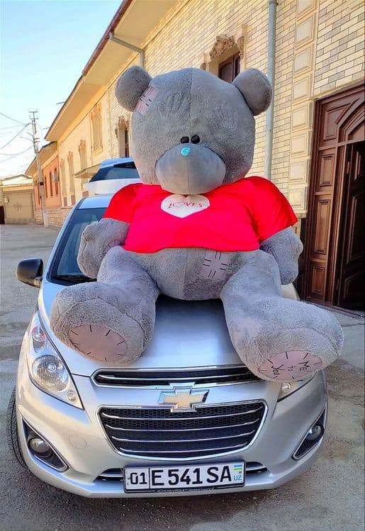 Teddiy va yumshoq o'yinchoqlar,Teddi ayiqchalar — 1