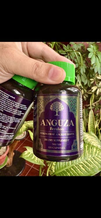 Anguza. Sportpitanie — 2