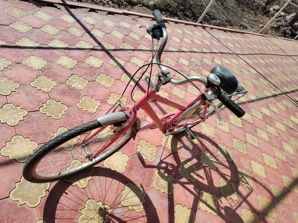 Veloseped germanskiy — 1