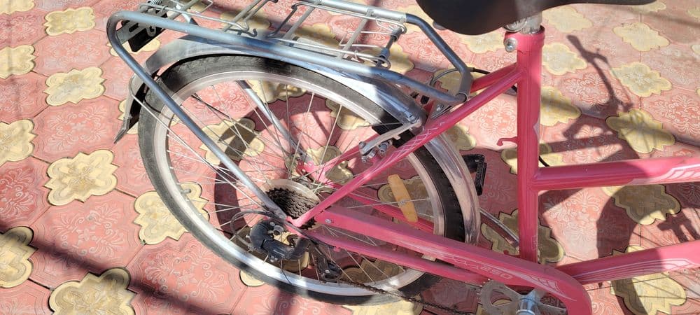 Veloseped germanskiy — 3