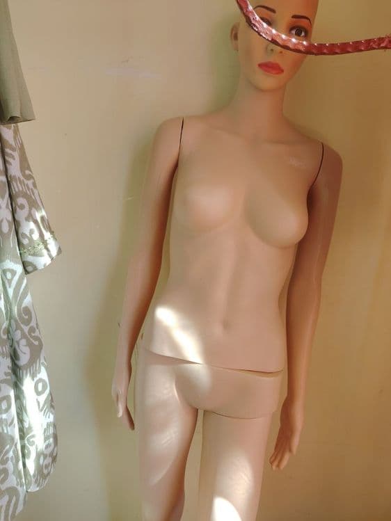 Maniken sotiladi — 4