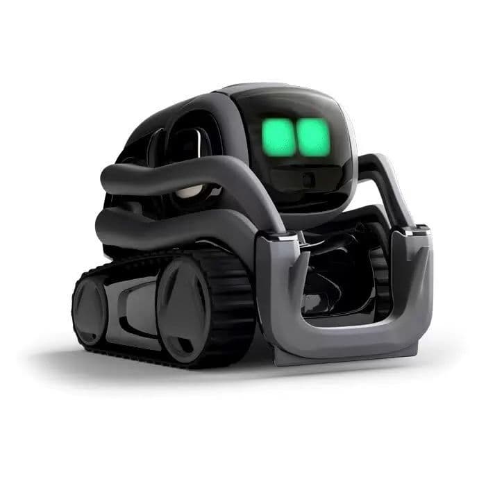 Ai Robot Vector (ИИ Робот Vector) — 1