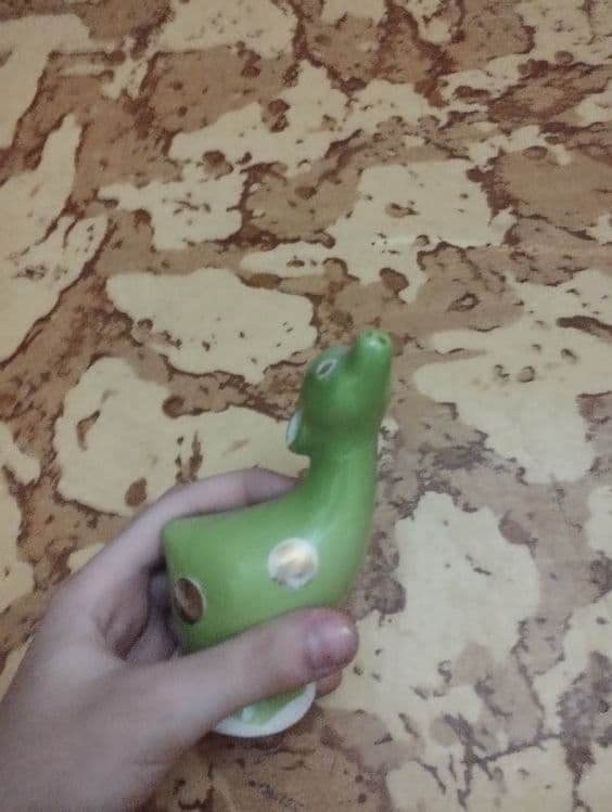 Сольница виде жирафа — 2