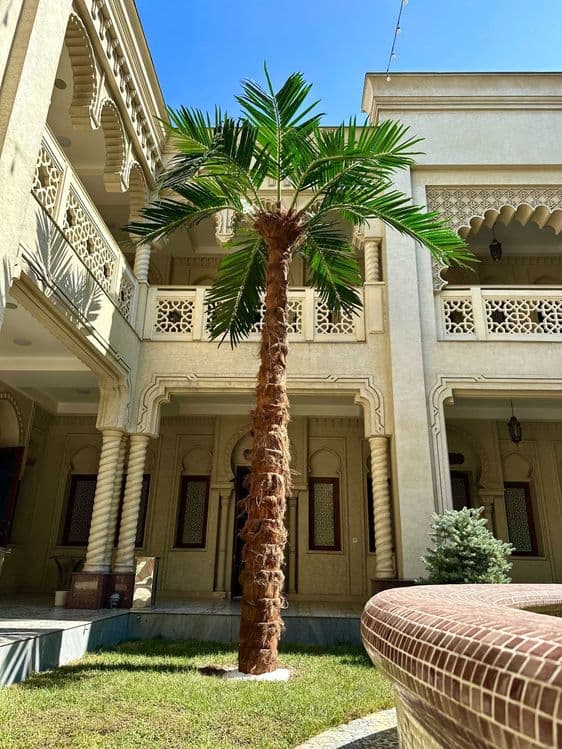 Sun’iy eko palma daraxtlari | 30% chegirma | bepul dizayn loyihasi — 4