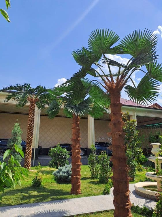 Sun’iy eko palma daraxtlari | 30% chegirma | bepul dizayn loyihasi — 5