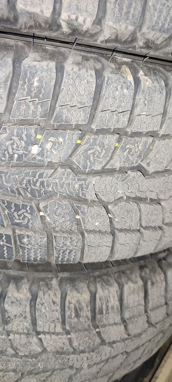 Toyo yapon qishki shinasi — 5
