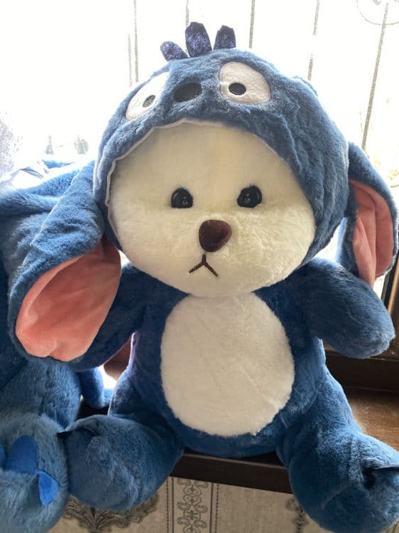 Ayiqcha stich kapishonka ayiqcha kapishonkali ayiqcha stech ayiq stich — 1