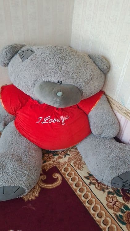 Tediy ayiq katta — 2