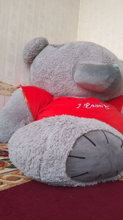Tediy ayiq katta — 4