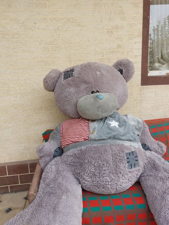 Teddy/Тедди. Мягкая Игрушка — 6