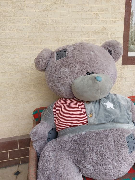 Teddy/Тедди. Мягкая Игрушка — 7