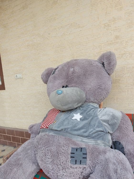 Teddy/Тедди. Мягкая Игрушка — 8