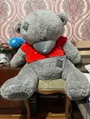 Tedy 1.5 m ayiqcha