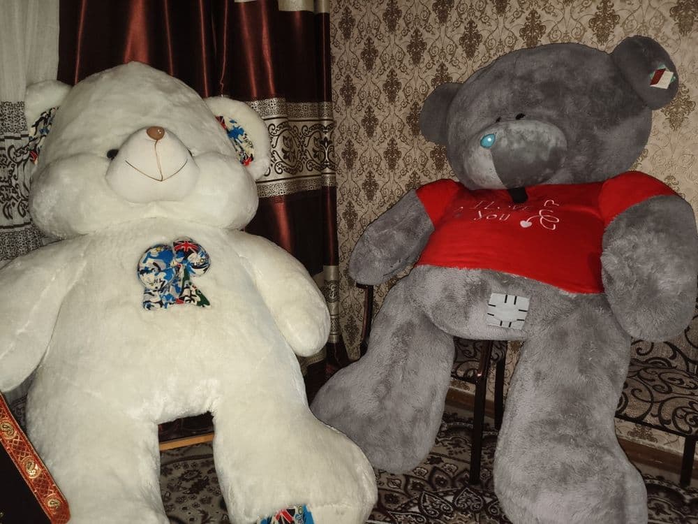 TEDDY.  Сотилади. 2 МЕТР. — 6