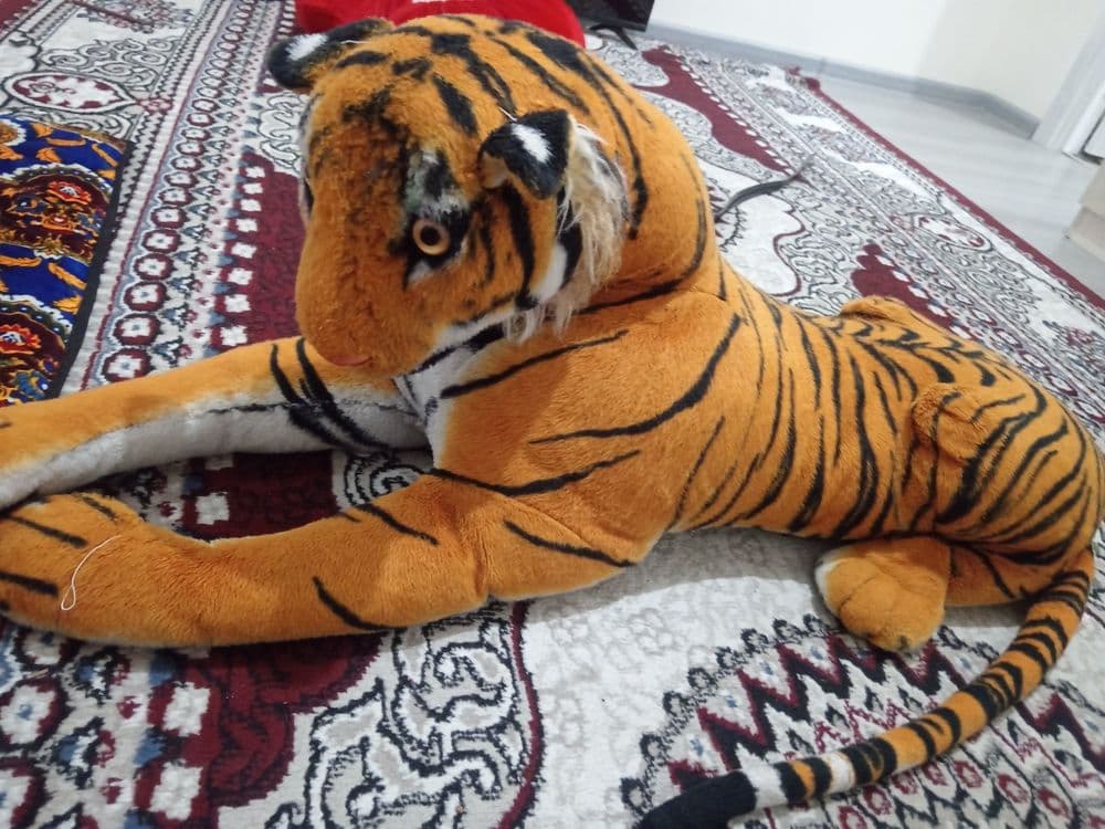 Yolbars sotiladi narxi 120ming — 1