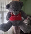 Tedy 1.5 m dogi yuq