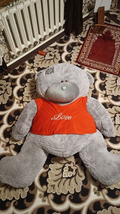 Teddy ayig'i kattasi — 4