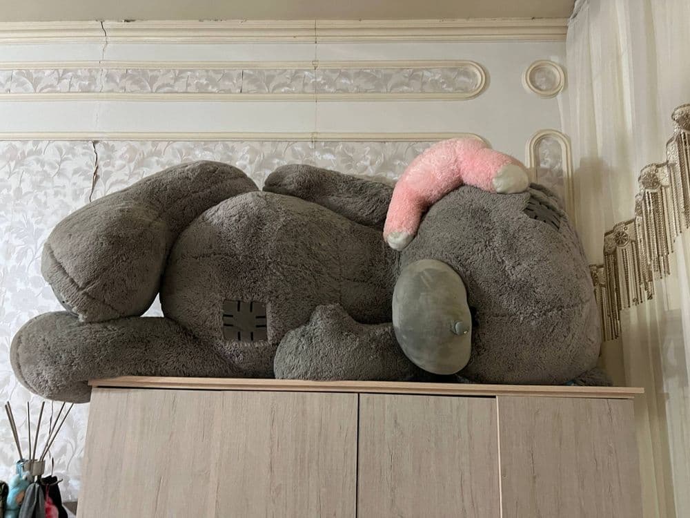 Мягкая мишка новый — 1