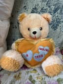 Teddy             .
