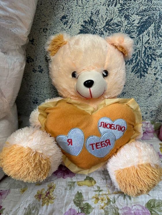 Teddy             . — 1
