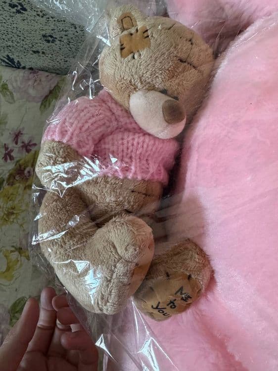 Teddy             . — 2