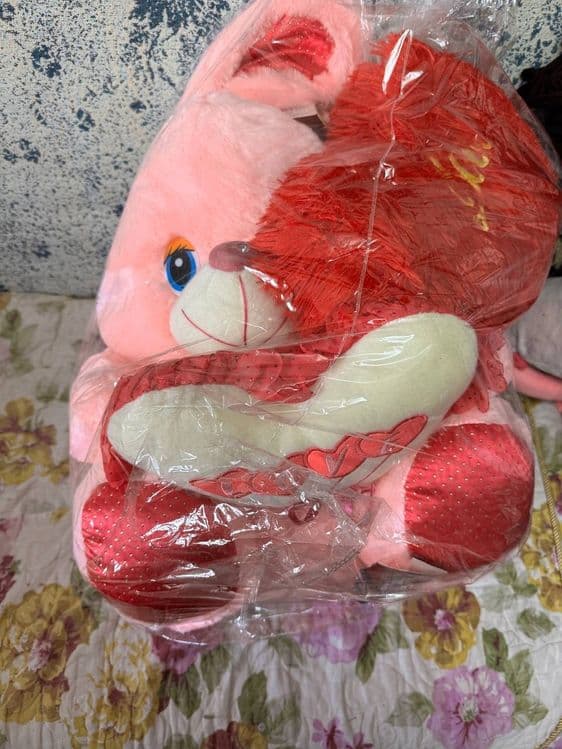 Teddy             . — 4