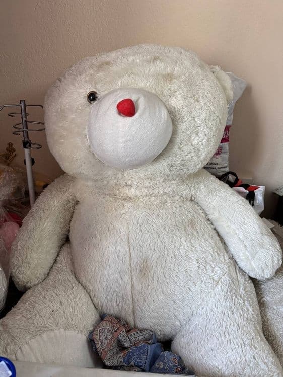 Teddy             . — 6