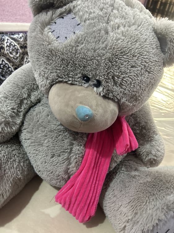 Teddiy ayiq ortacha kattalikda yangi sfati zor — 2