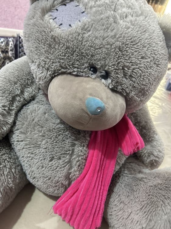Teddiy ayiq ortacha kattalikda yangi sfati zor — 3