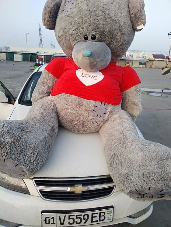 Teddi Teddy 1+1 mega aksiya — 2