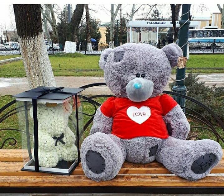 Teddi Teddy 1+1 mega aksiya — 6