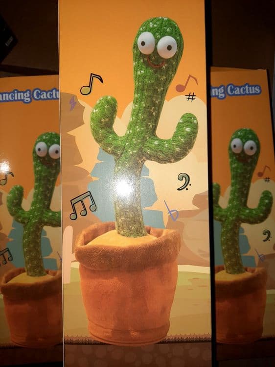БЕПУЛ Доставка, Говорящий Кактус, Танцующий Кактус,Dancing cactus. — 6